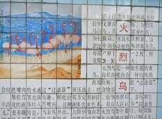 第二次去成都动物园之火烈鸟