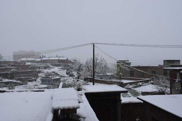 三月中旬的一场大雪突如其来，让人分外惊喜
