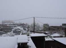 三月中旬的一场大雪突如其来，让人分外惊喜