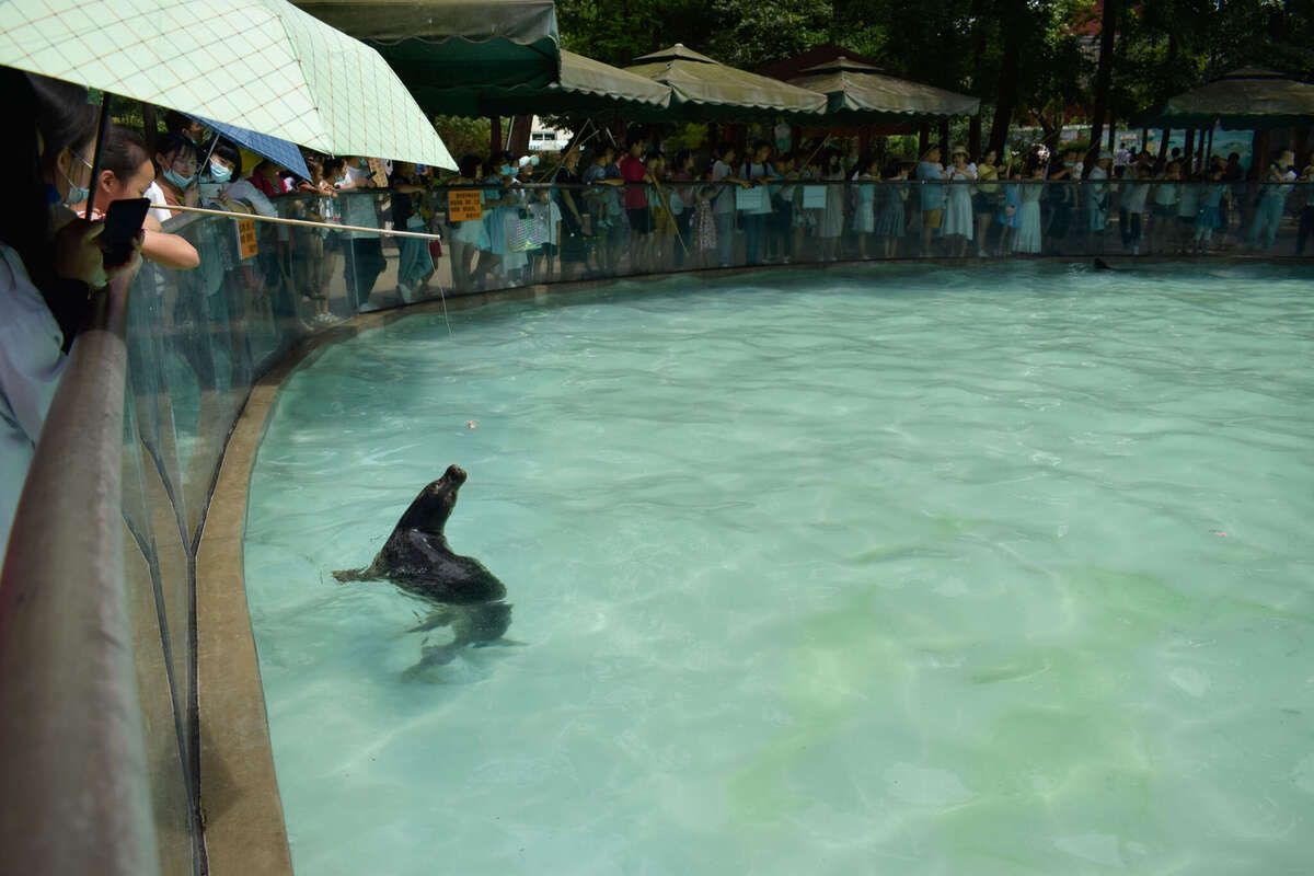 _DSC5363.jpg