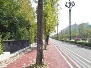 十月下旬再次骑行成都绕城绿道时