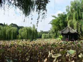今天去了新都桂湖升庵（杨慎）祠