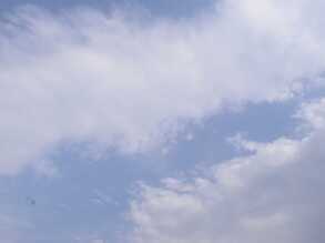 昨日蓝天白云晴空万里，今日杏树摇身一变染成了大半红色