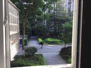 雨过天晴的成都天色和绿植