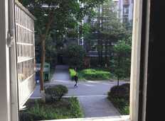 雨过天晴的成都天色和绿植