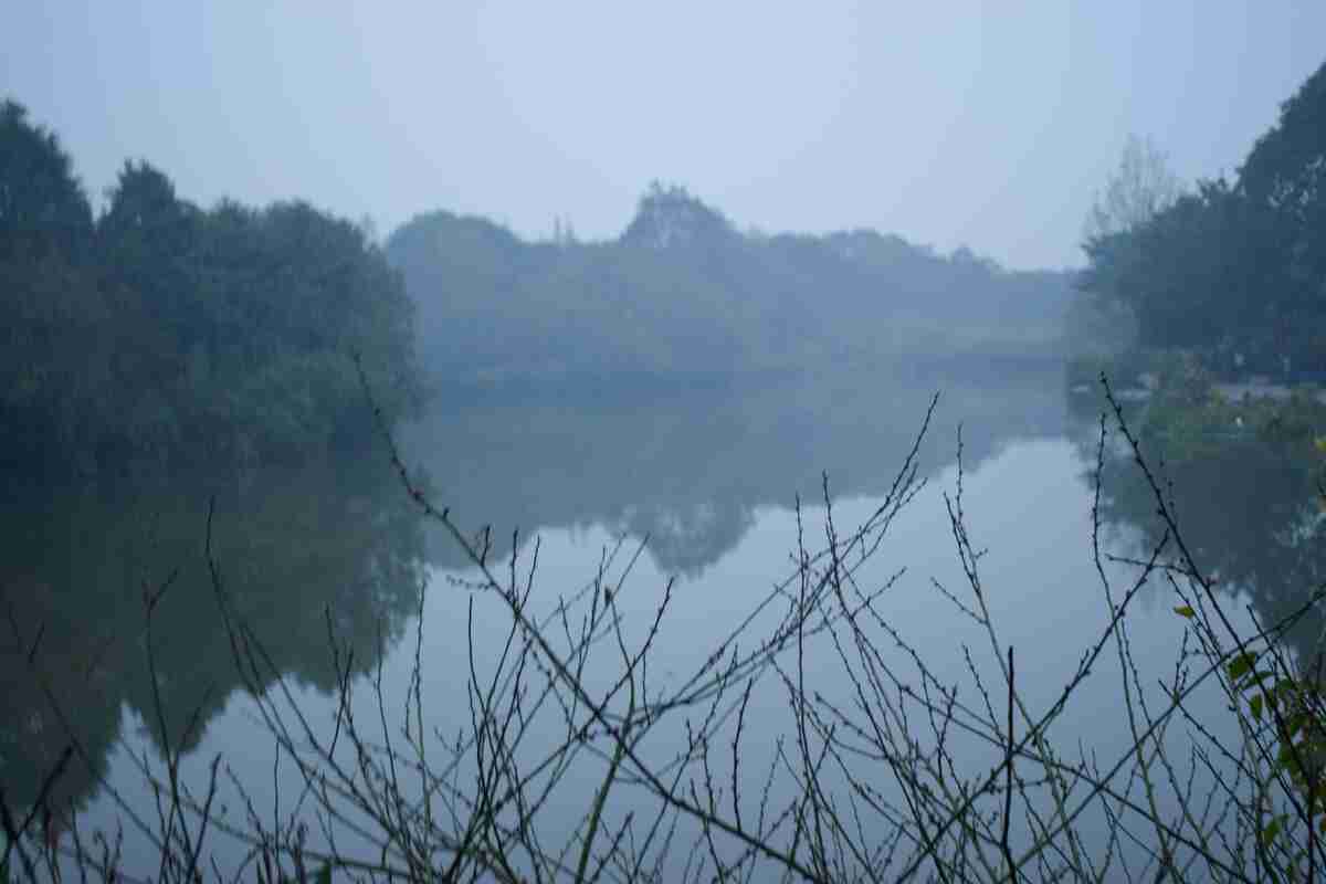 去年一个阴雨天早晨的湖面