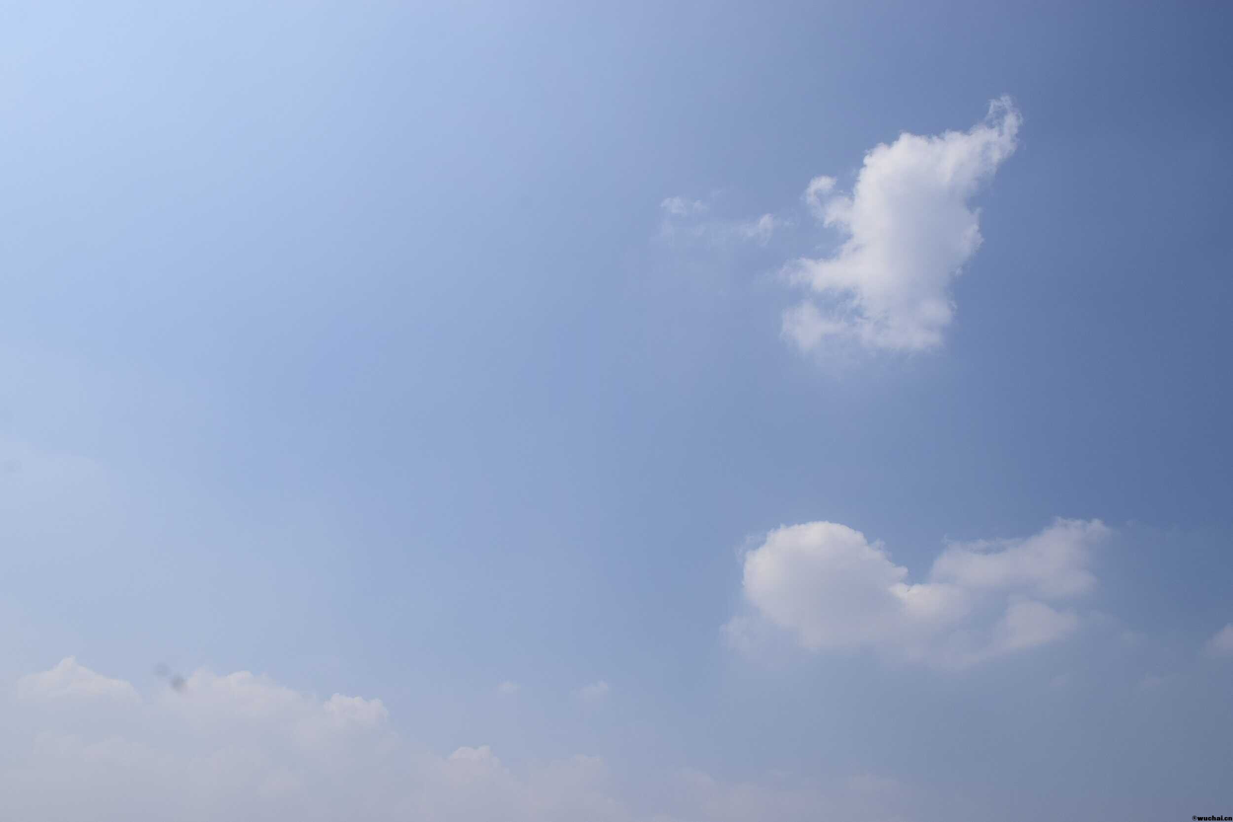 _DSC5073.JPG