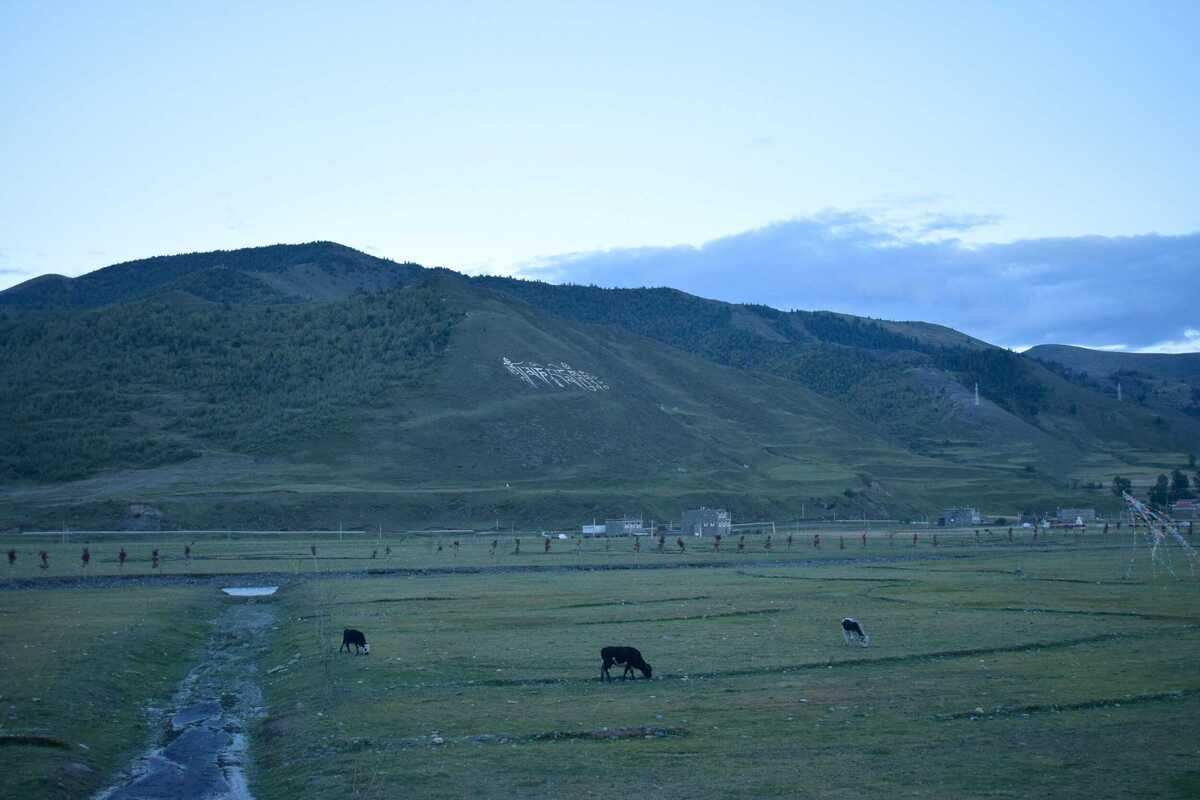 _DSC7987.jpg