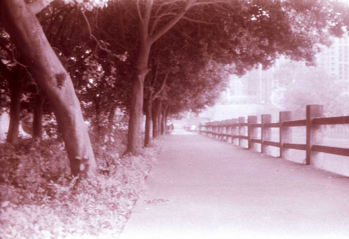 Scan10037.JPG