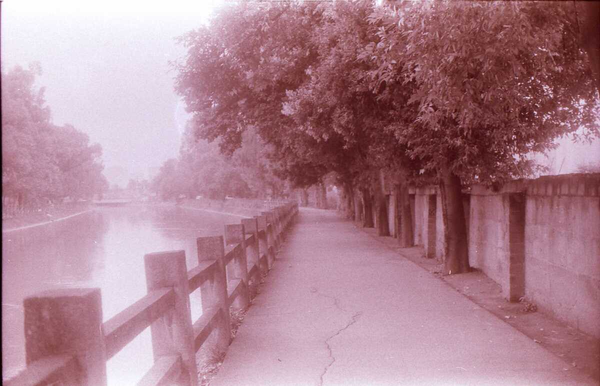 Scan10043.JPG