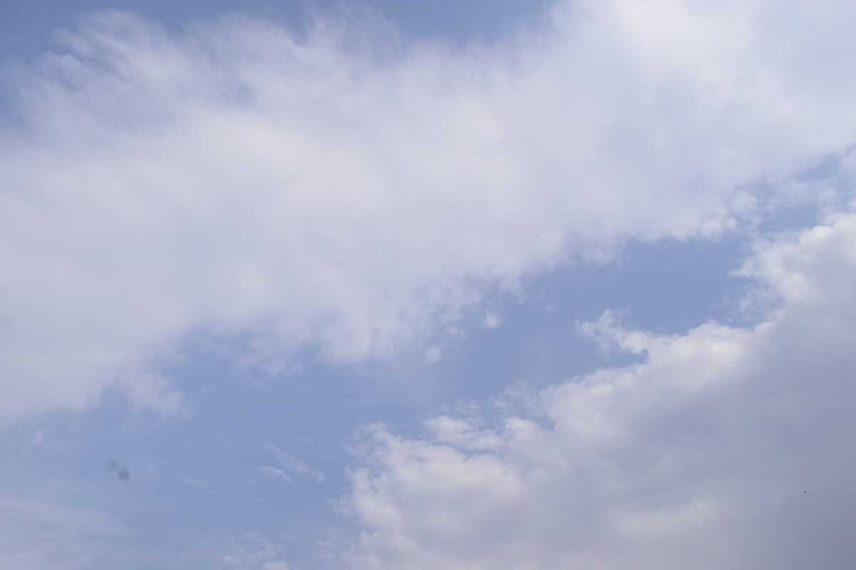 _DSC1303.JPG